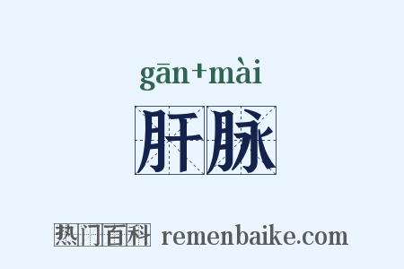 肝脉是什么意思的图片